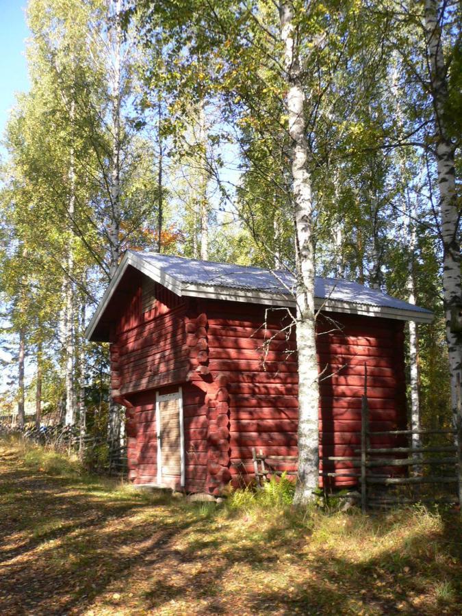 Vanha-Palsila Lakeside Farm Kuhmoinen Exteriér fotografie